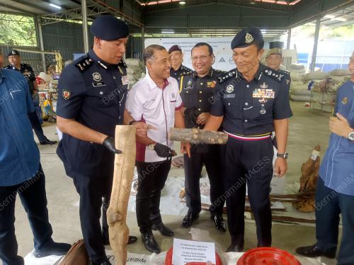 DATUK DZULKHAIRI MUKHTAR
