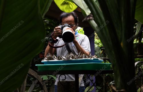 CANON EOS R3 DAN R5