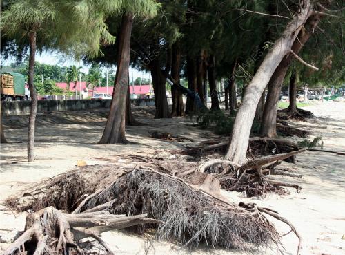 HAKISAN PANTAI PUTERI