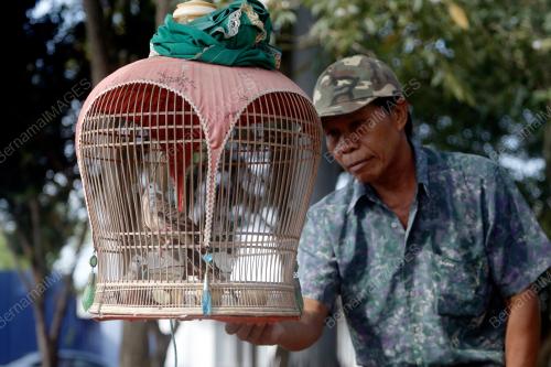 PERTANDINGAN SENI SUARA MERBUK