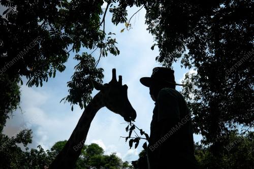 ZOO MELAKA