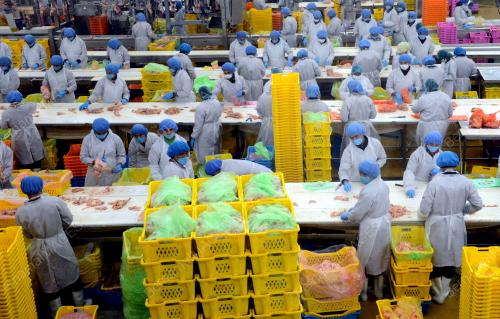 MK06_17092013_AYAM_KILANG