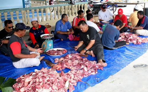 KORBAN LEMBU