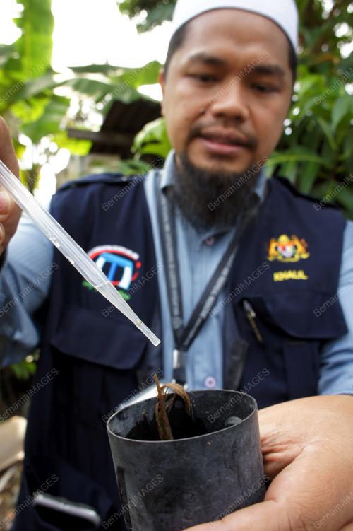 MK06_19112014_AEDES_DENGGI