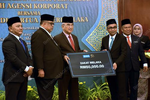 TUN MOHD ALI RUSTAM
