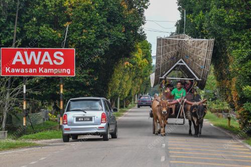 KERETA LEMBU MELAKA