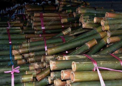 BULUH LEMANG