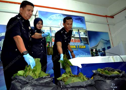 MK06_30052016_POLIS_KETUM