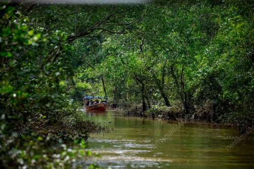 ECO CRUISE SUNGAI LINGGI
