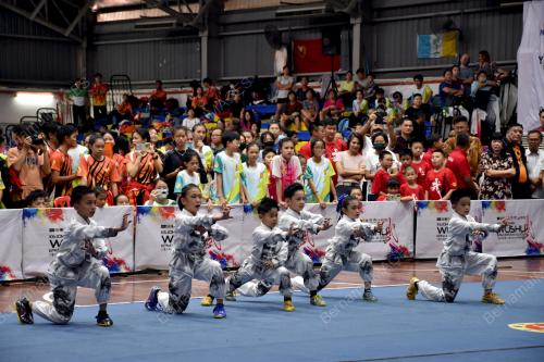 KEJOHANAN WUSHU