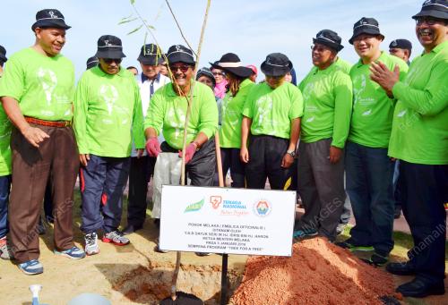 MK07_03012016_TNB_POKOK
