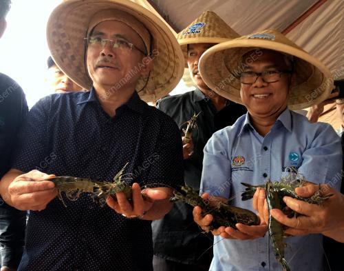 DATUK SERI DR RONALD KIANDEE