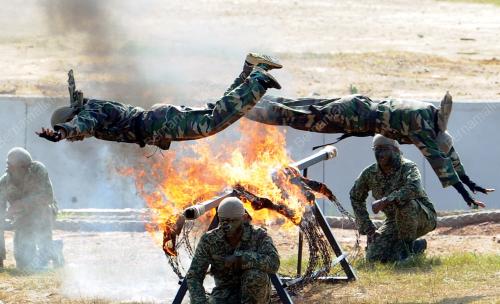 MK07_15032017_BRIGED_PARA