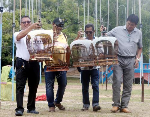 PERTANDINGAN SENI SUARA MERBUK