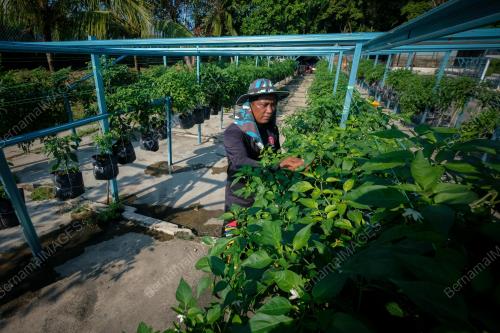 TEKNOLOGI IoT