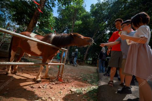 ZOO MELAKA