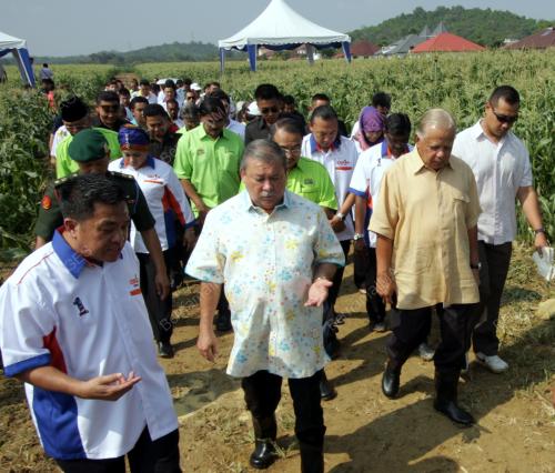 MK07_23032013_SULTAN_IBRAHIM