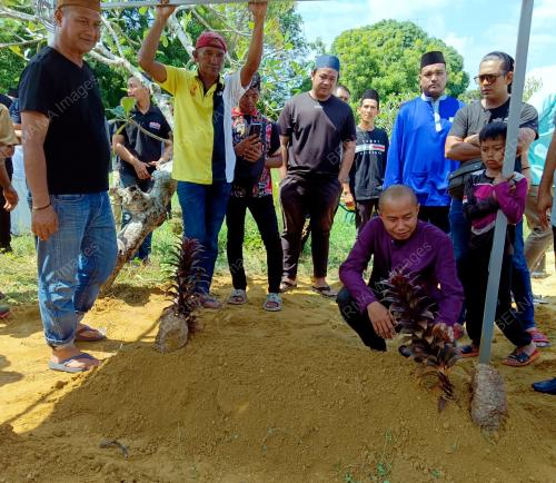 MUHAMMAD HANIS KAMALZAMAN