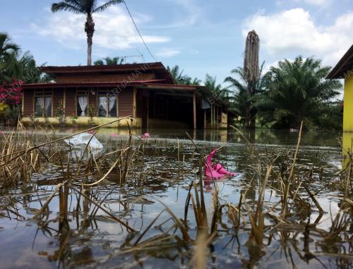 BANJIR TERMENUNG