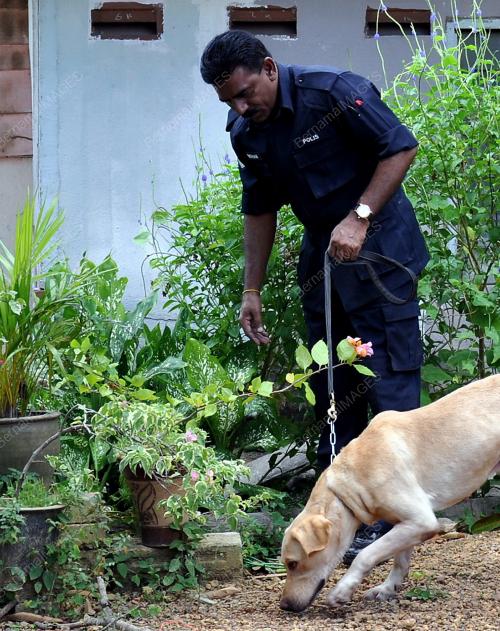 MK08_01022012_ANJING_KESAN