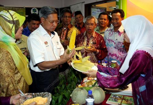 MUSTAPA MOHAMED