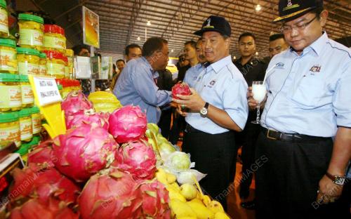 MUHYIDDIN MOHD YASSIN