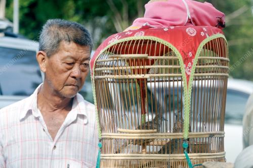 PERTANDINGAN SENI SUARA MERBUK