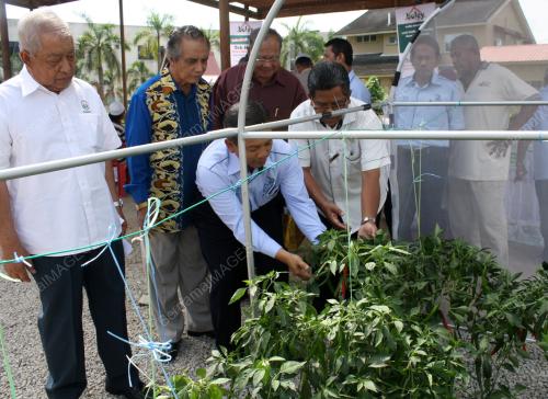 MK09_12012011_LPP_TERBUKA