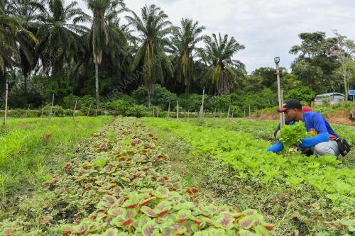 PASAR SEGAR & SEJUK BEKU EROL