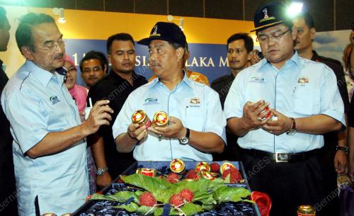 MUHYIDDIN MOHD YASSIN