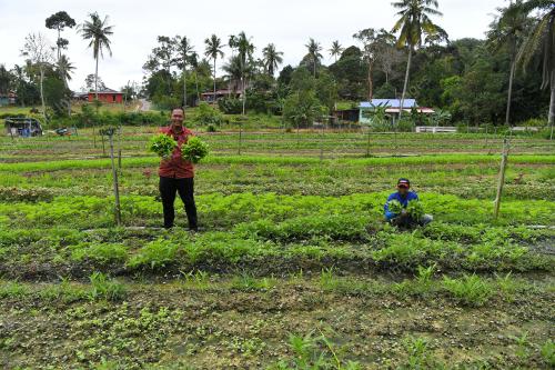 PASAR SEGAR & SEJUK BEKU EROL