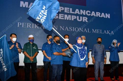 DATUK SERI HAMZAH ZAINUDIN
