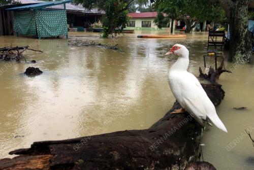 BANJIR