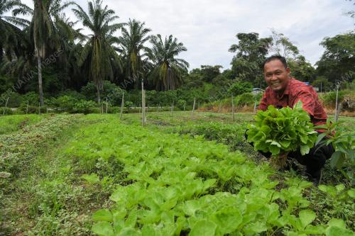 PASAR SEGAR & SEJUK BEKU EROL