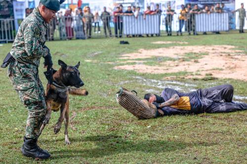 DEMONSTASI ANJING PERANG