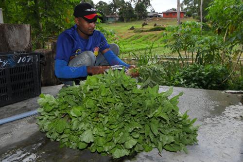 PASAR SEGAR & SEJUK BEKU EROL