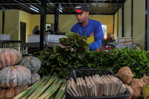 PASAR SEGAR & SEJUK BEKU EROL