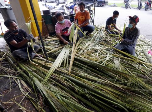 PELEPAH DAUN KETUPAT