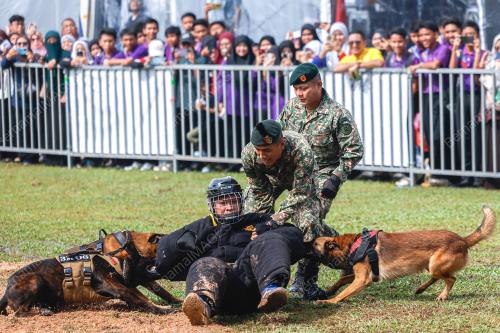 DEMONSTASI ANJING PERANG