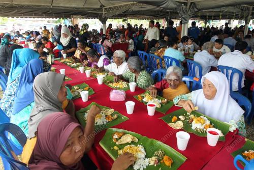 MK16_01032011_DAUN_PISANG