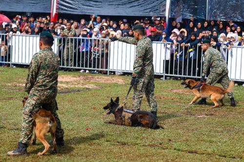 DEMONSTASI ANJING PERANG