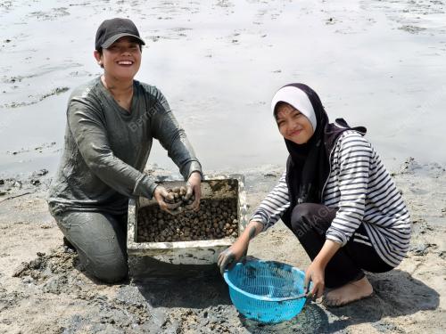 PESTA KERANG