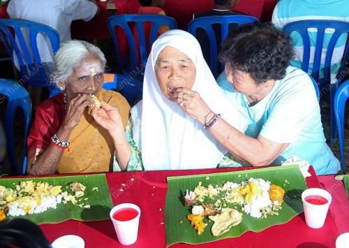 MK20_01032011_DAUN_PISANG2