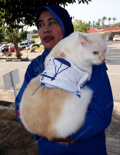 MK25_26022011_KUCING_BN