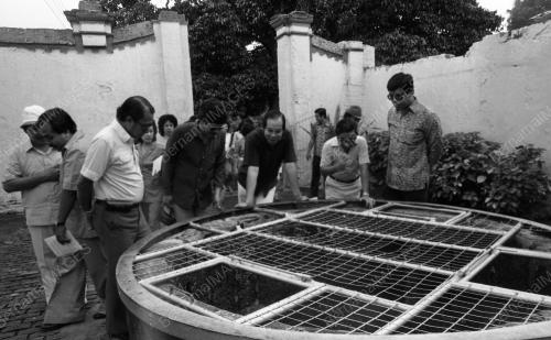 MK29_12012015_PERSIDANGAN_MENTERI