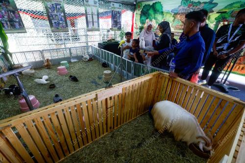 PETTING ZOO