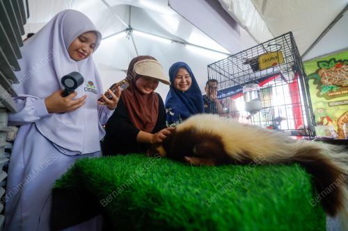PETTING ZOO