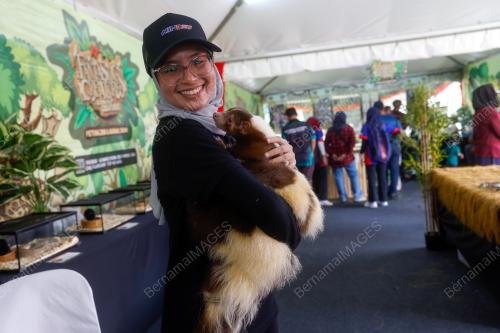PETTING ZOO