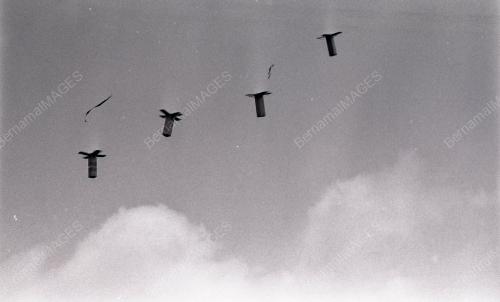 DATUK SERI DR. MAHATHIR MOHAMAD