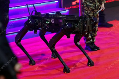 ANJING SIBER UNIT KHAS (ASUK)